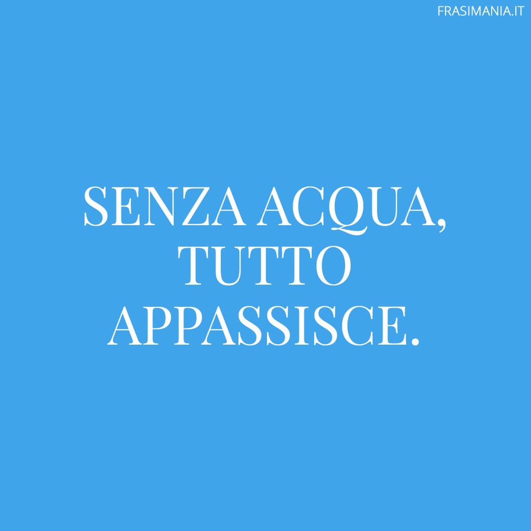 Senza acqua, tutto appassisce.