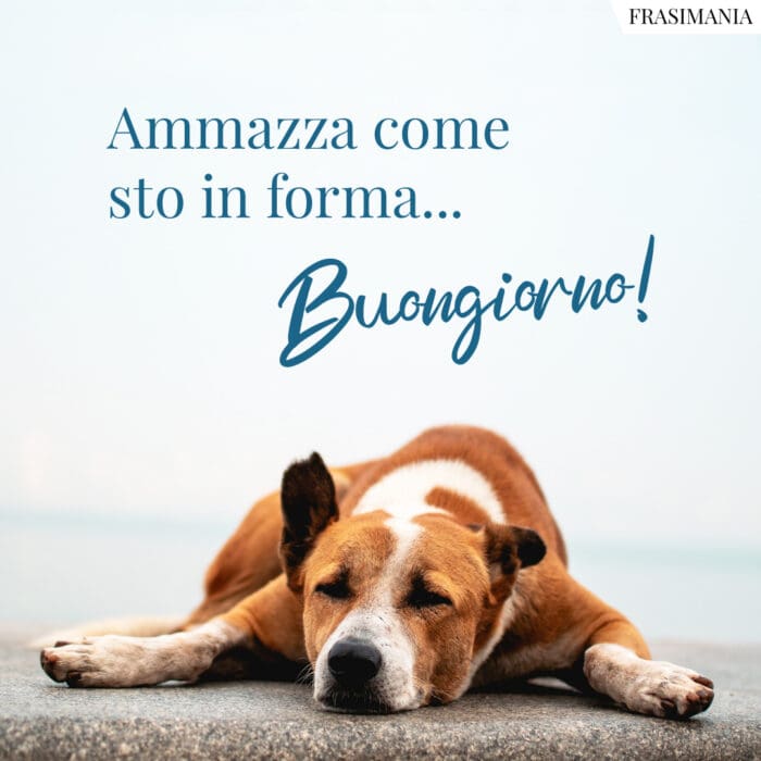 Ammazza come sto in forma... Buongiorno!