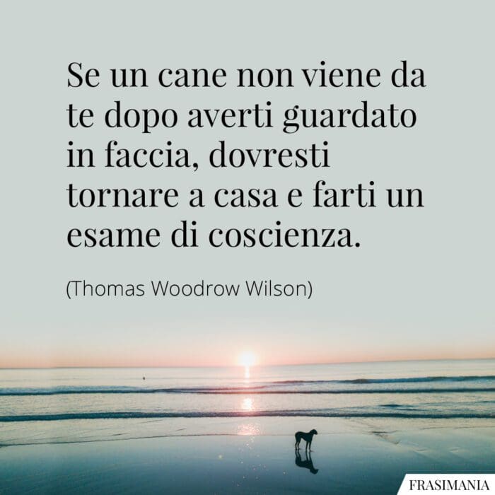 Frasi cane coscienza Wilson