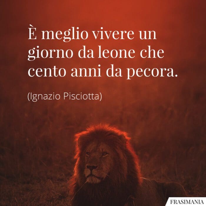 Frasi giorno leone anni pecora Pisciotta