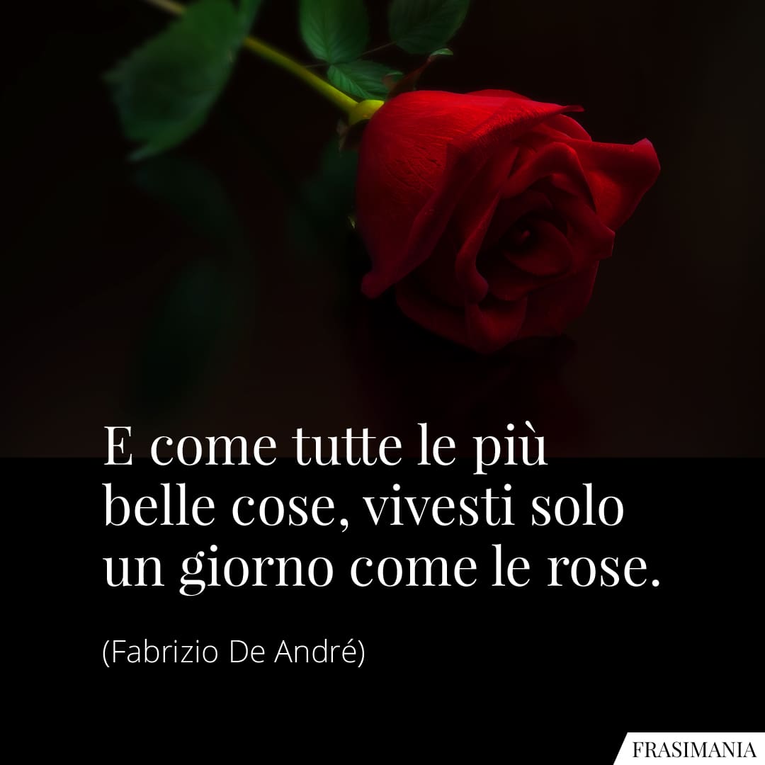 E come tutte le più belle cose, vivesti solo un giorno come le rose.
