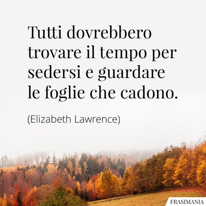 Tutti dovrebbero trovare il tempo per sedersi e guardare le foglie che cadono.