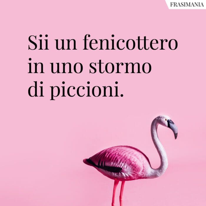 Sii un fenicottero in uno stormo di piccioni.
