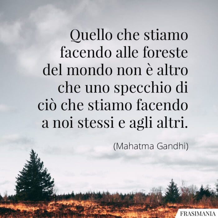 Quello che stiamo facendo alle foreste del mondo non è altro che uno specchio di ciò che stiamo facendo a noi stessi e agli altri.