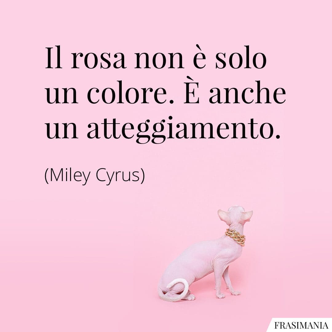 Il rosa non è solo un colore. È anche un atteggiamento.