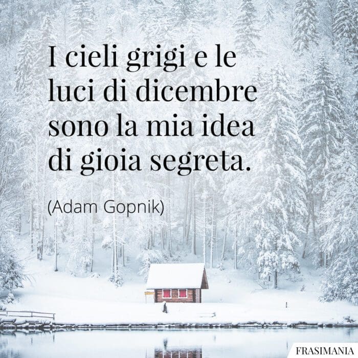 I cieli grigi e le luci di dicembre sono la mia idea di gioia segreta.