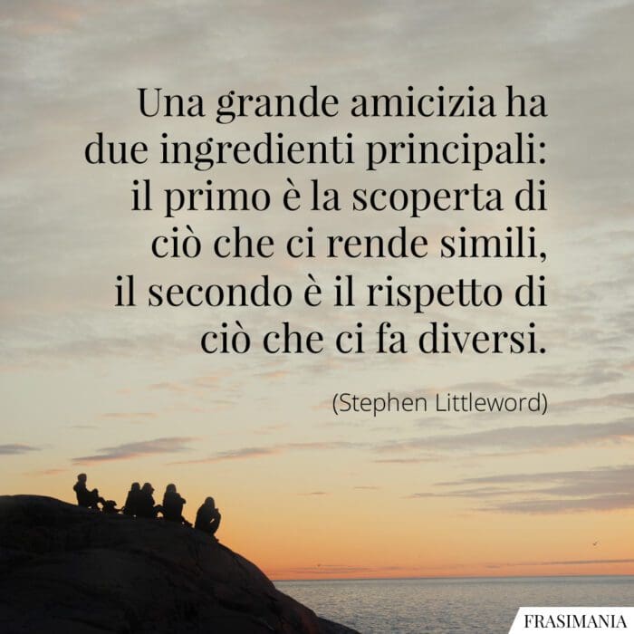 Una grande amicizia ha due ingredienti principali: il primo è la scoperta di ciò che ci rende simili, il secondo è il rispetto di ciò che ci fa diversi.