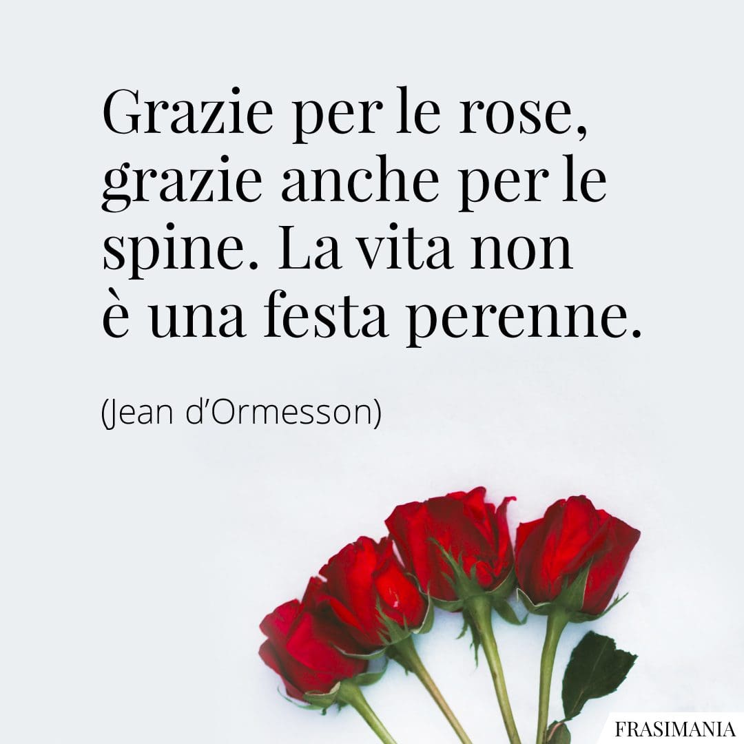 Grazie per le rose, grazie anche per le spine. La vita non è una festa perenne.