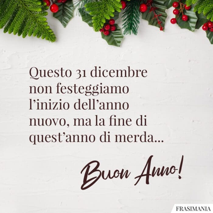 Questo 31 dicembre non festeggiamo l’inizio dell’anno nuovo, ma la fine di quest’anno di merda… Buon anno!
