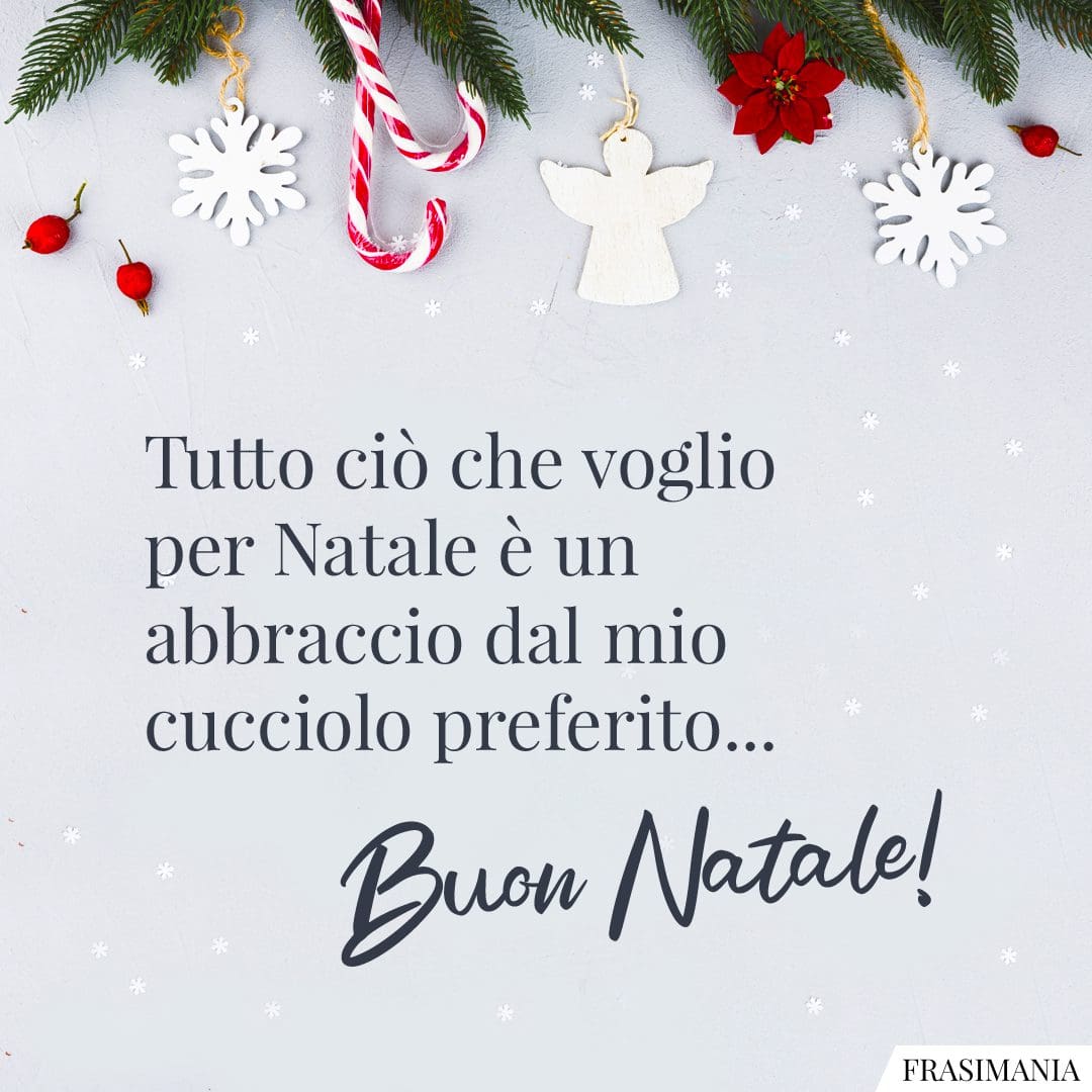 Tutto ciò che voglio per Natale è un abbraccio dal mio cucciolo preferito... Buon Natale!
