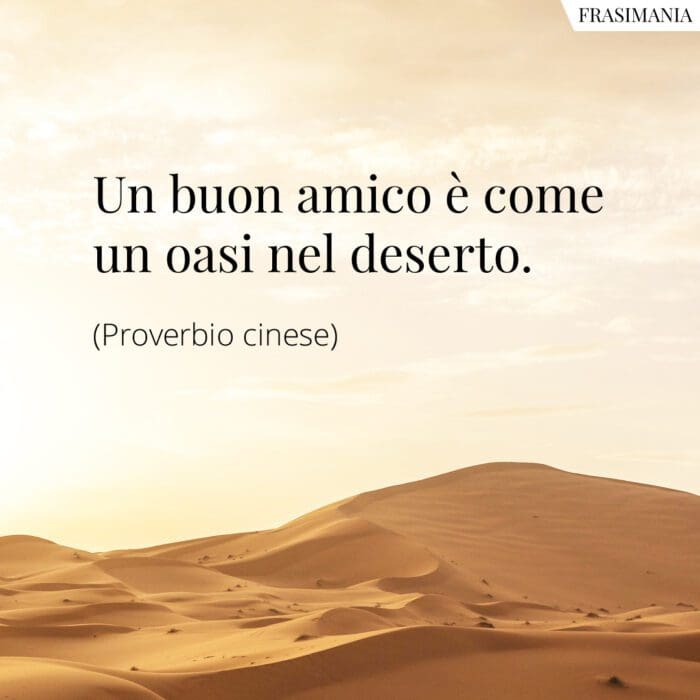 Frasi amico oasi deserto proverbio cinese