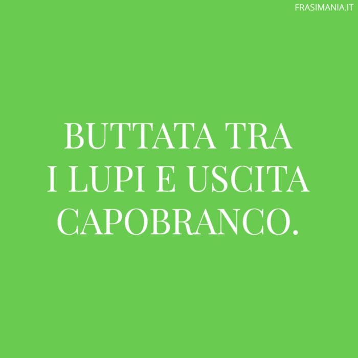 Buttata tra i lupi e uscita capobranco.
