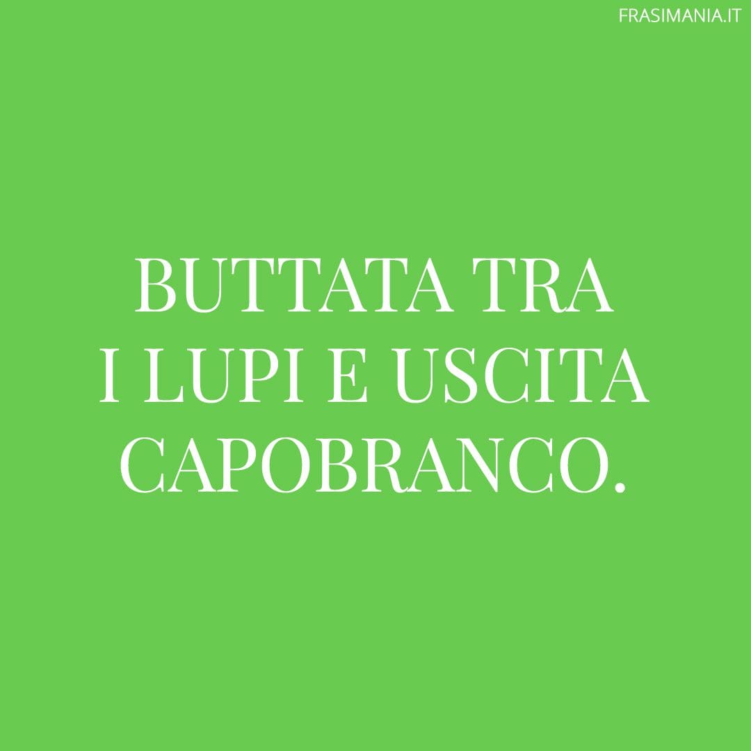 Buttata tra i lupi e uscita capobranco.