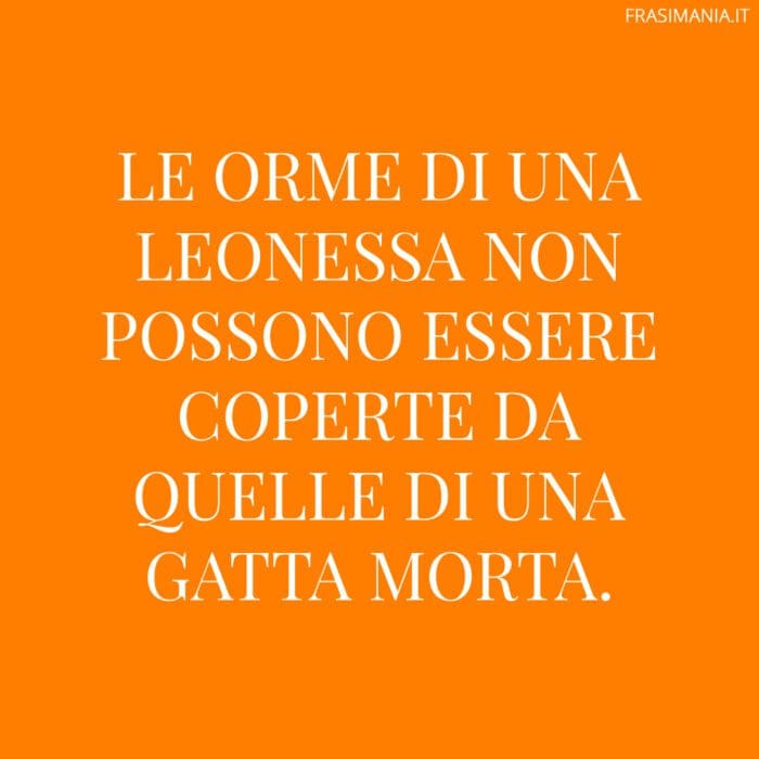 Le orme di una leonessa non possono essere coperte da quelle di una gatta morta.
