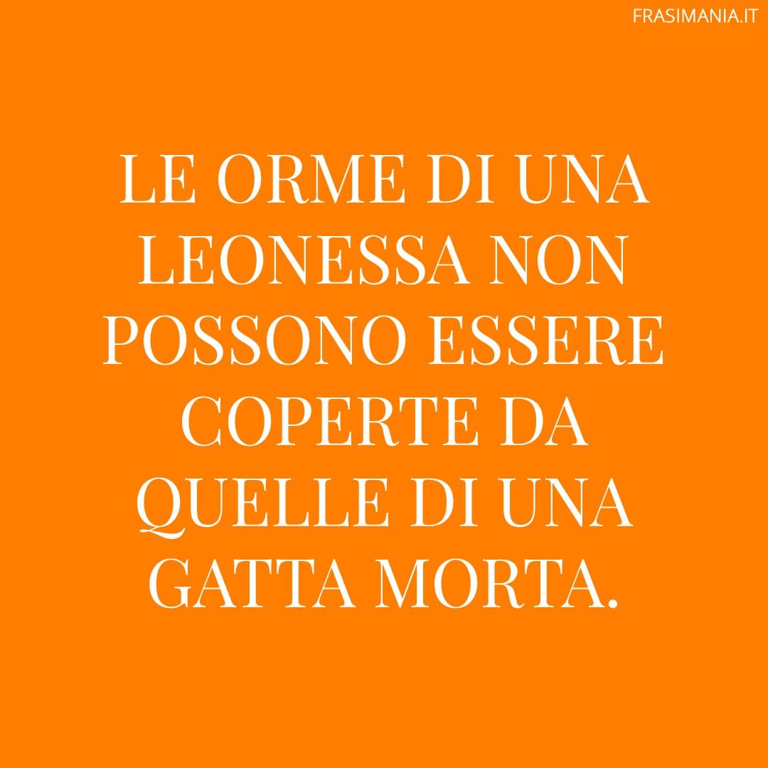Le orme di una leonessa non possono essere coperte da quelle di una gatta morta.