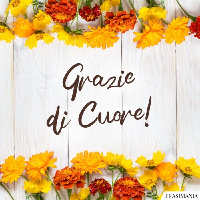 Grazie di cuore