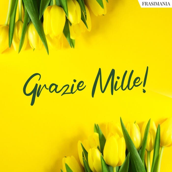 grazie-mille-1