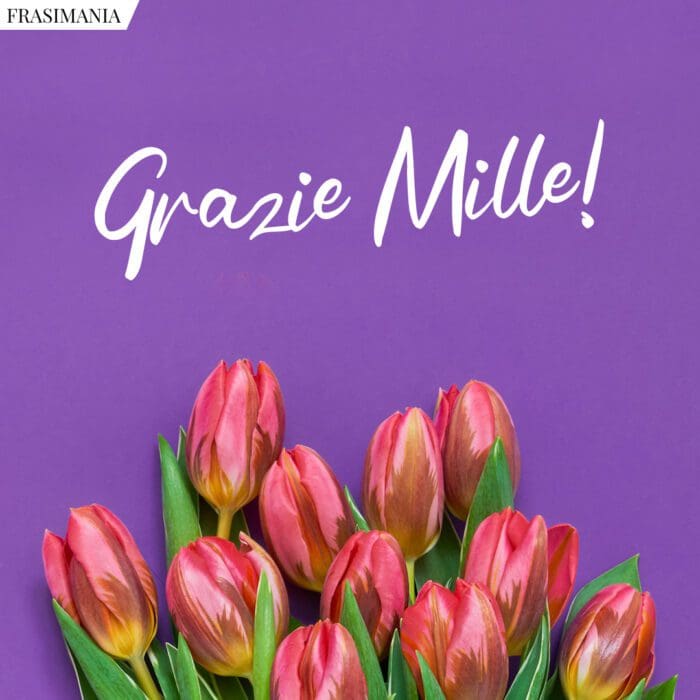 grazie-mille-3