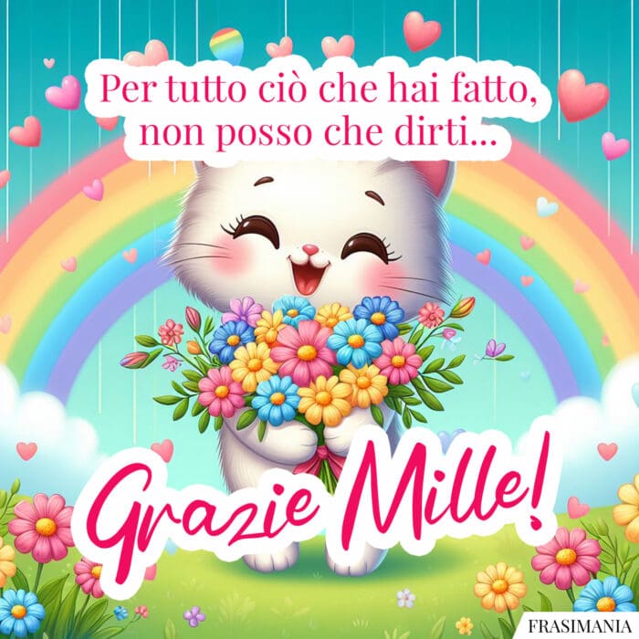 Per tutto ciò che hai fatto, non posso che dirti… Grazie Mille!