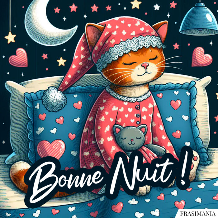 Bonne Nuit !