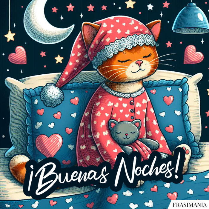¡Buenas Noches!
