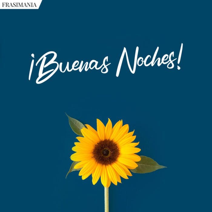 ¡Buenas Noches!