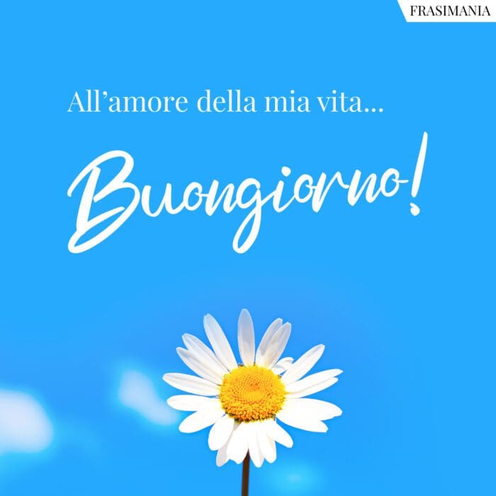 Buongiorno vita amore