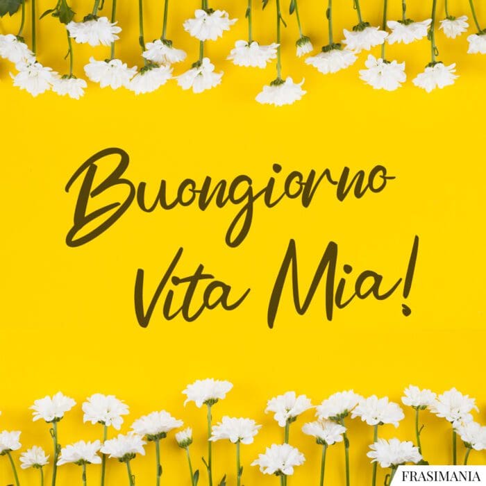 buongiorno-vita-mia-5