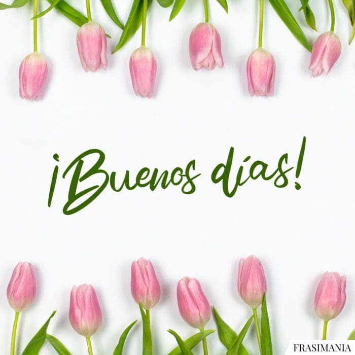 ¡Buenos días!