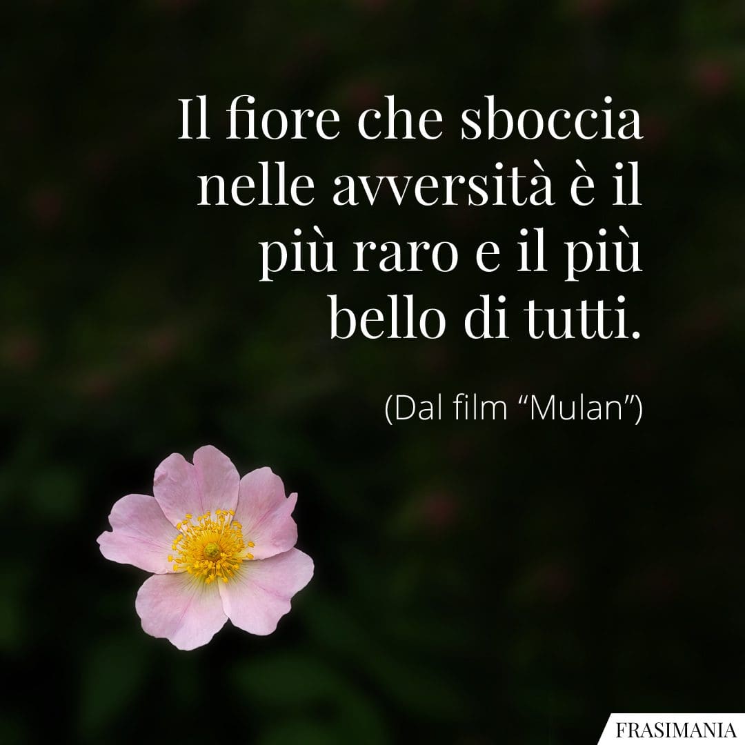 Il fiore che sboccia nelle avversità è il più raro e il più bello di tutti.