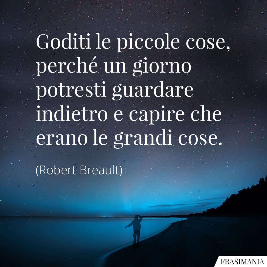 Goditi le piccole cose, perché un giorno potresti guardare indietro e capire che erano le grandi cose.