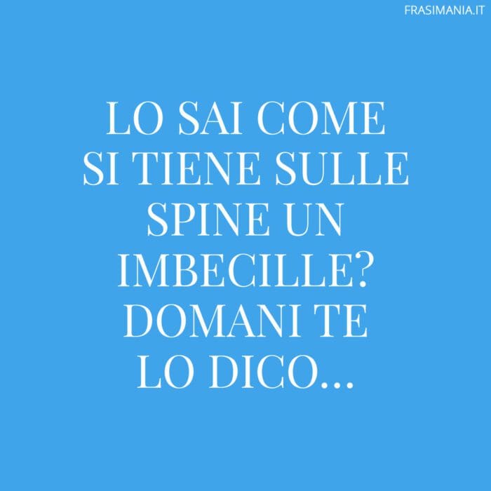 Lo sai come si tiene sulle spine un imbecille? Domani te lo dico…