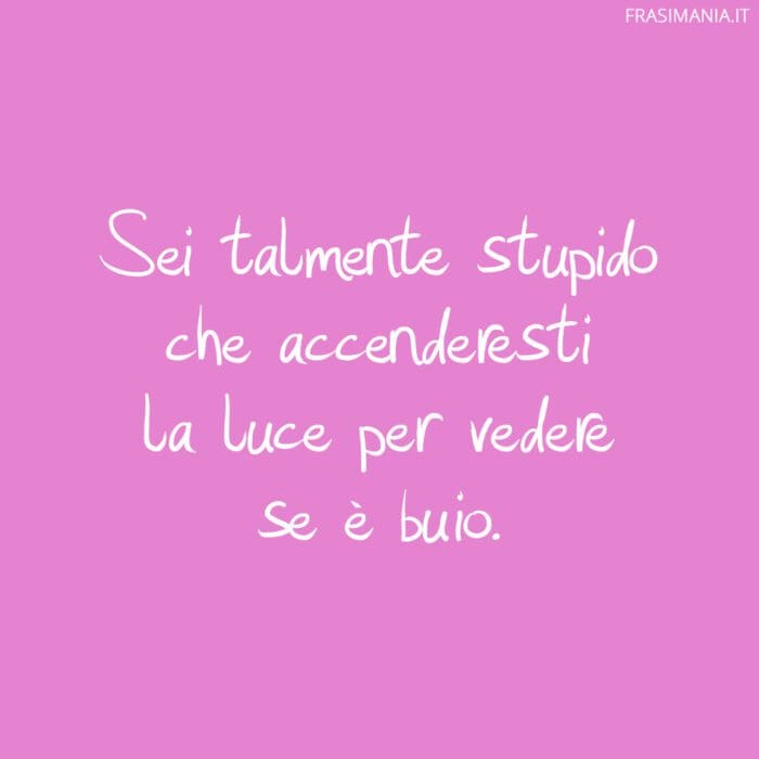 Sei talmente stupido che accenderesti la luce per vedere se è buio.