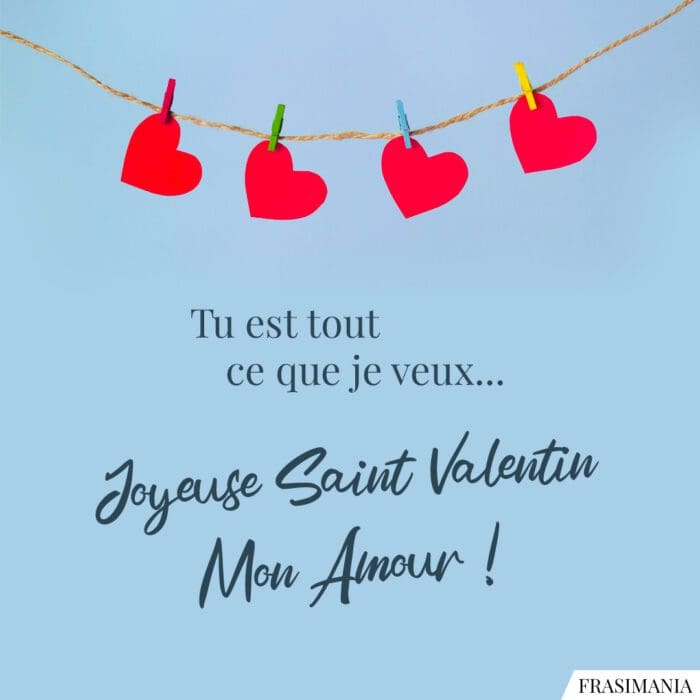 Tu est tout ce que je veux... Joyeuse Saint Valentin mon amour !