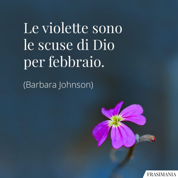 Le violette sono le scuse di Dio per febbraio.