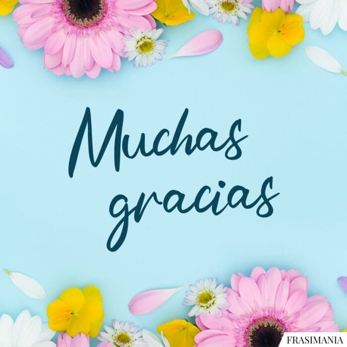 Muchas gracias.