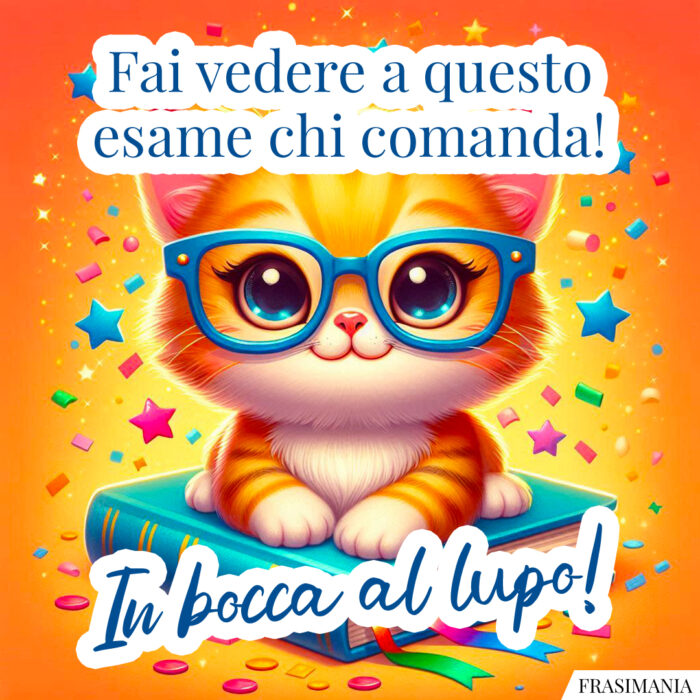 Fai vedere a questo esame chi comanda! In bocca al lupo!
