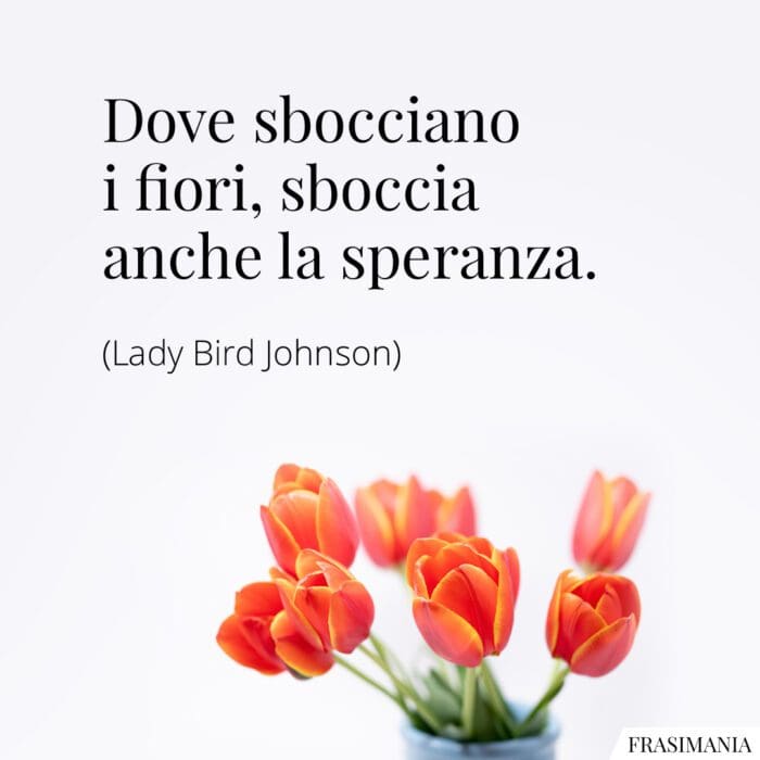 Dove sbocciano i fiori, sboccia anche la speranza.