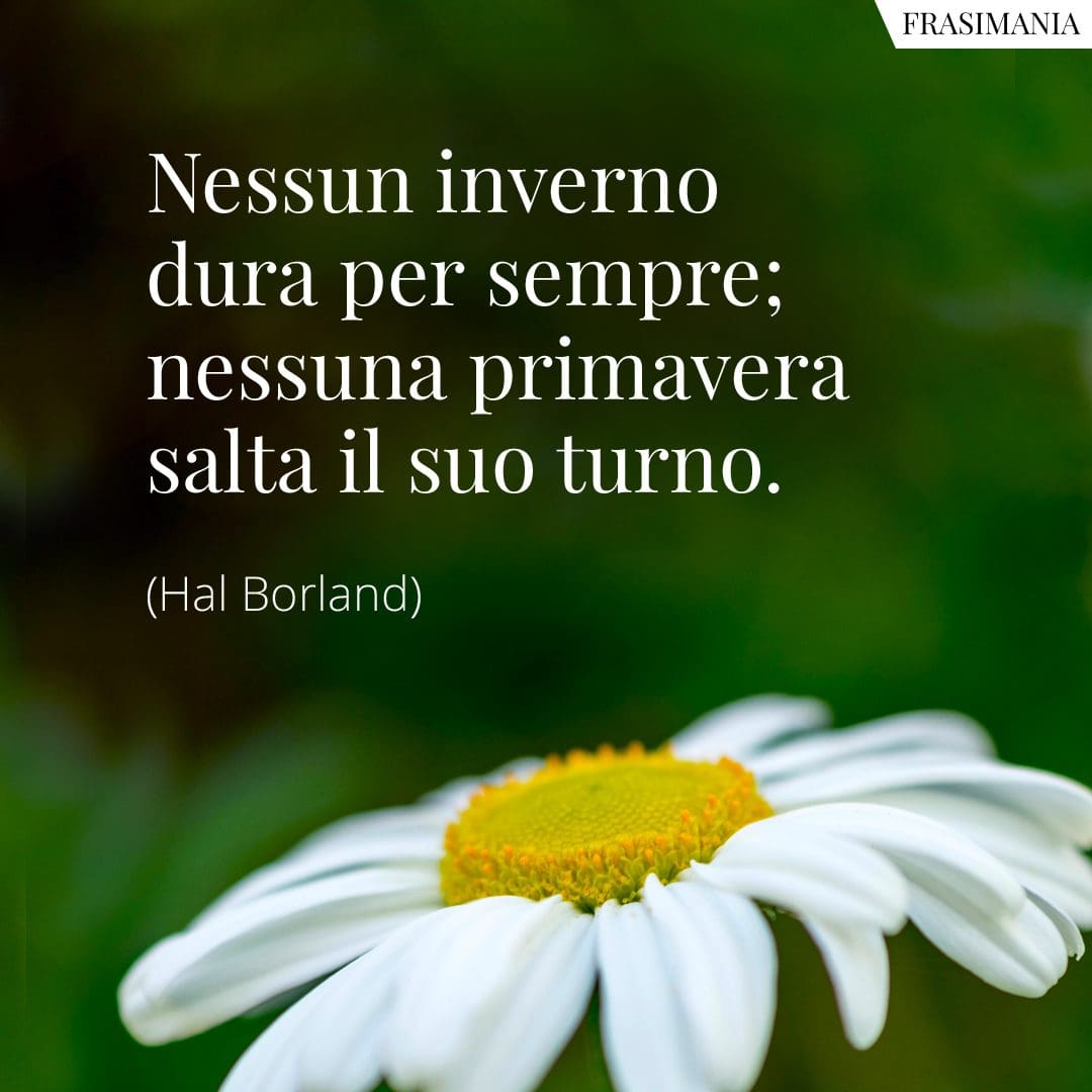 Nessun inverno dura per sempre; nessuna primavera salta il suo turno.