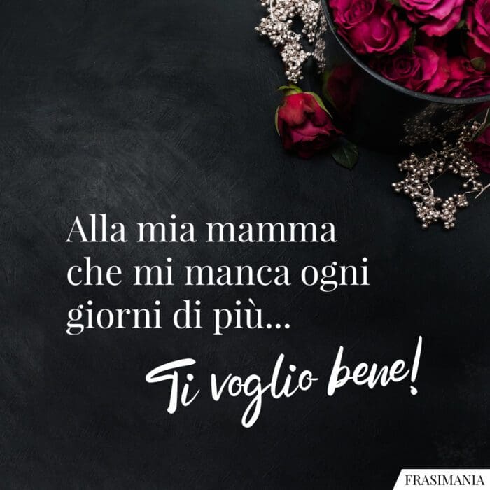 Alla mia mamma che mi manca ogni giorni di più… Ti voglio bene!