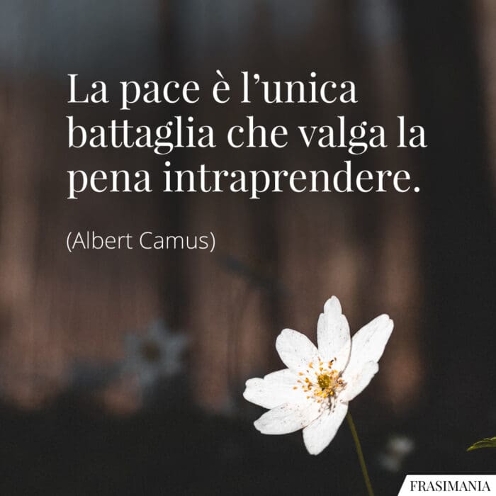 Frasi pace battaglia Camus