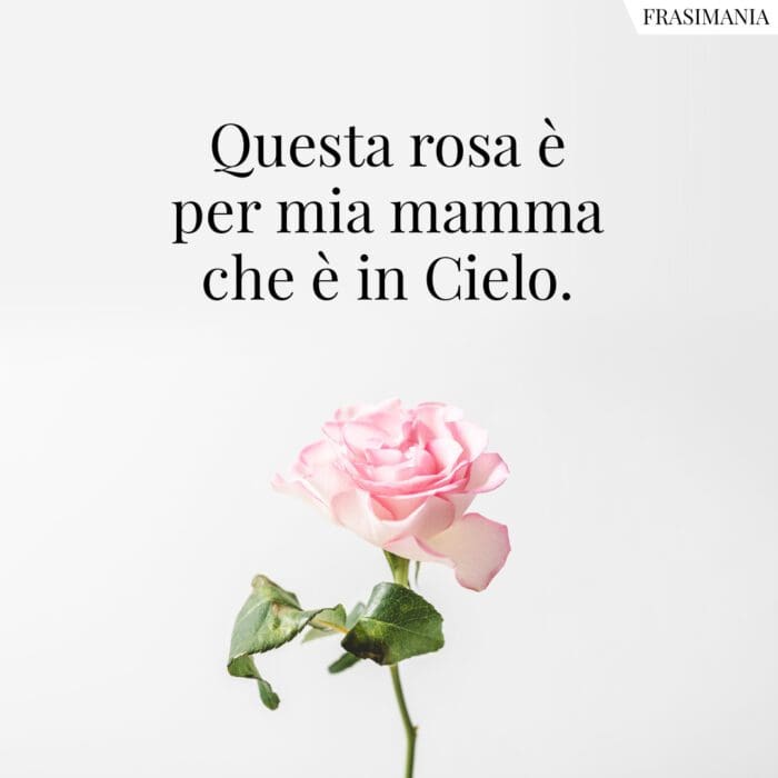 Questa rosa è per mia mamma che è in Cielo.