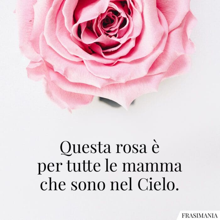 Questa rosa è per tutte le mamme che sono nel Cielo.