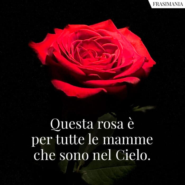 Questa rosa è per tutte le mamme che sono nel Cielo.