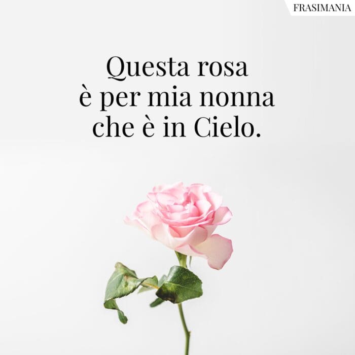 Questa rosa è per mia nonna che è in Cielo.