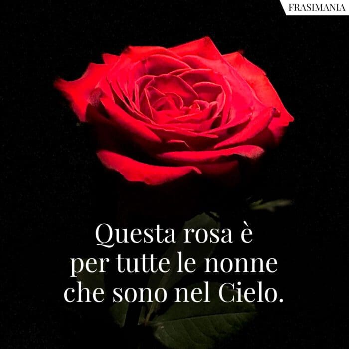 Questa rosa è per tutte le nonne che sono nel Cielo.