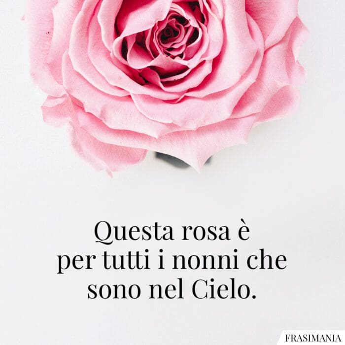 Frasi rosa nonni cielo