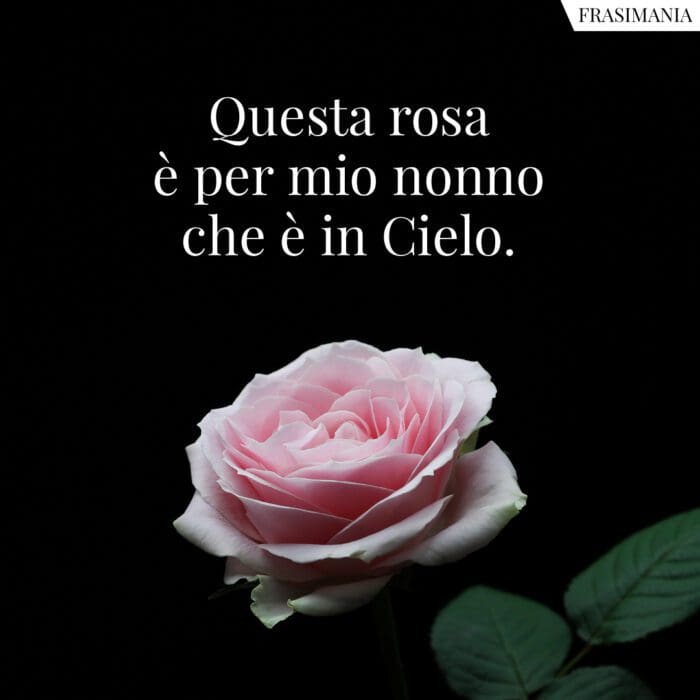 Frasi rosa nonno cielo