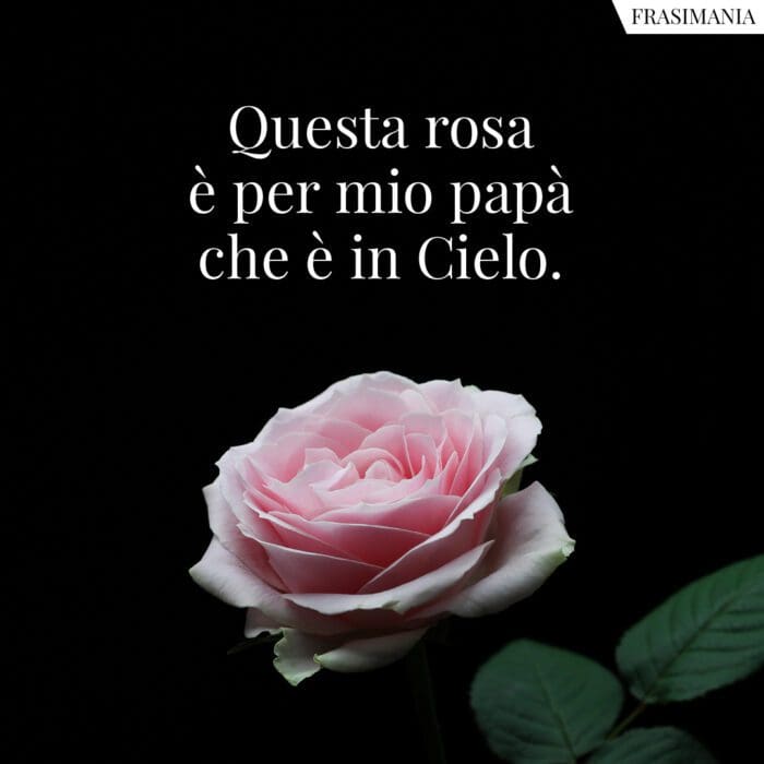 Frasi rosa papà cielo