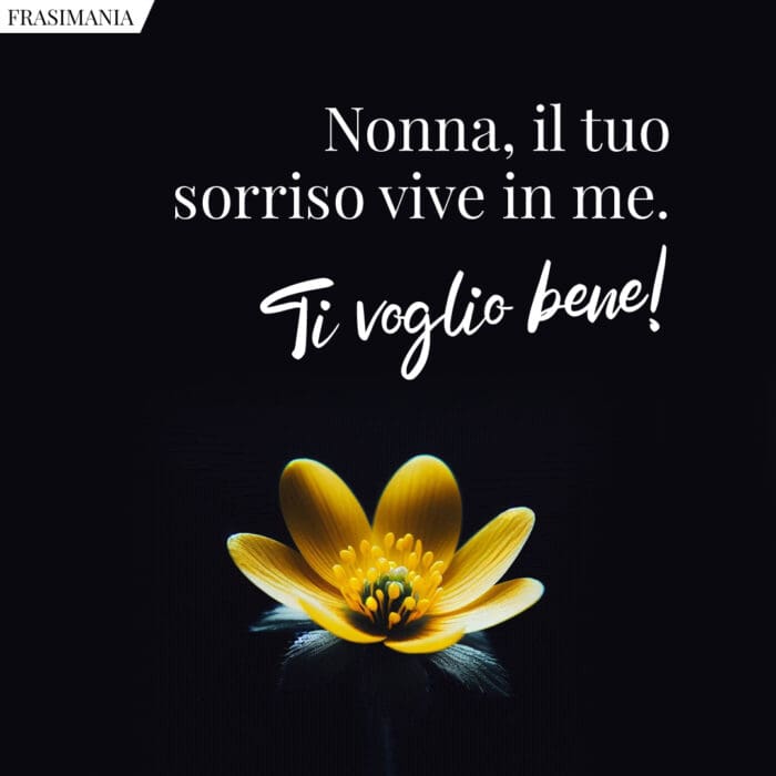 Nonna, il tuo sorriso vive in me. Ti voglio bene!